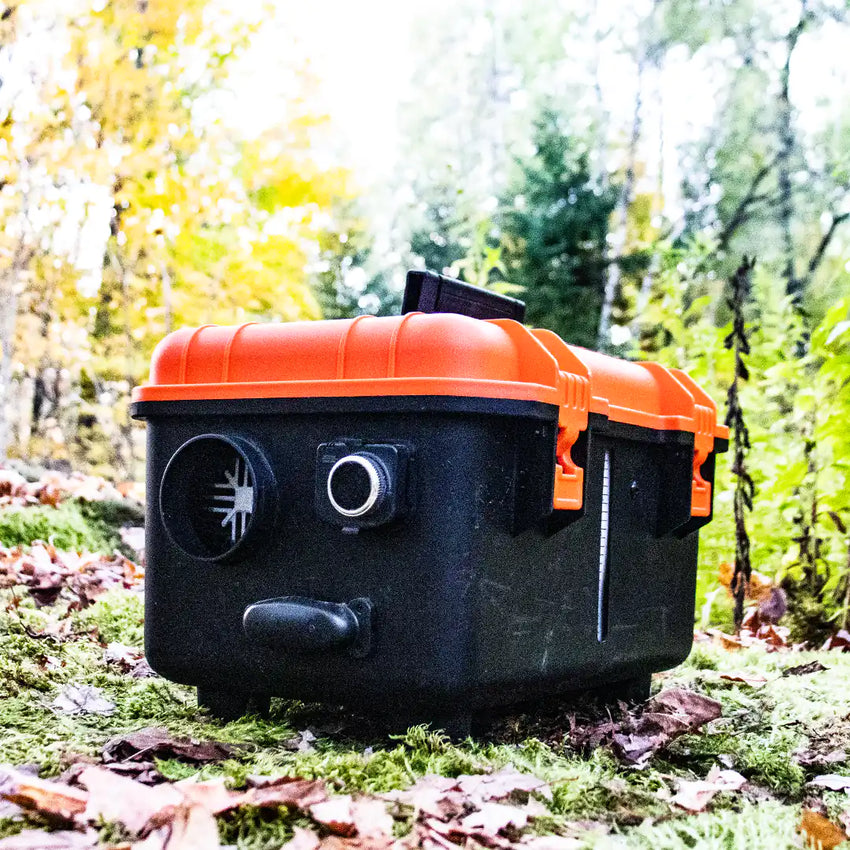 Vue dans la forêt
