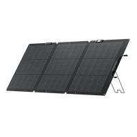 Panneau Solaire Pliable de 160W